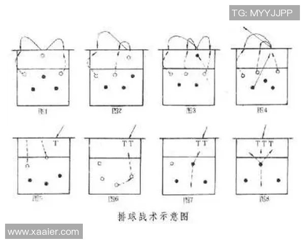 南京排球队战术解析与实战应用探讨提升竞技水平的关键因素